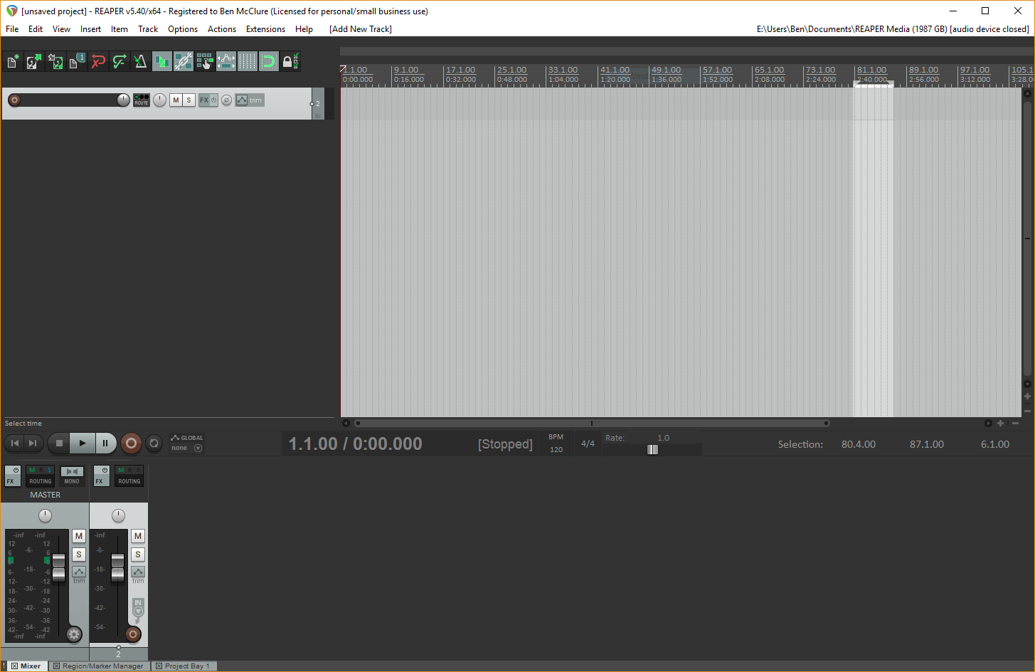 A blank track in Reaper